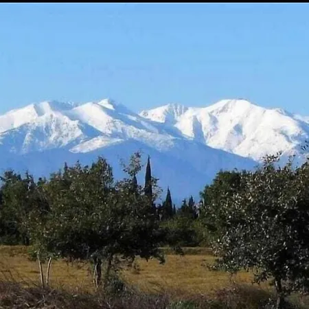 Villa Domaine Manon Buzon