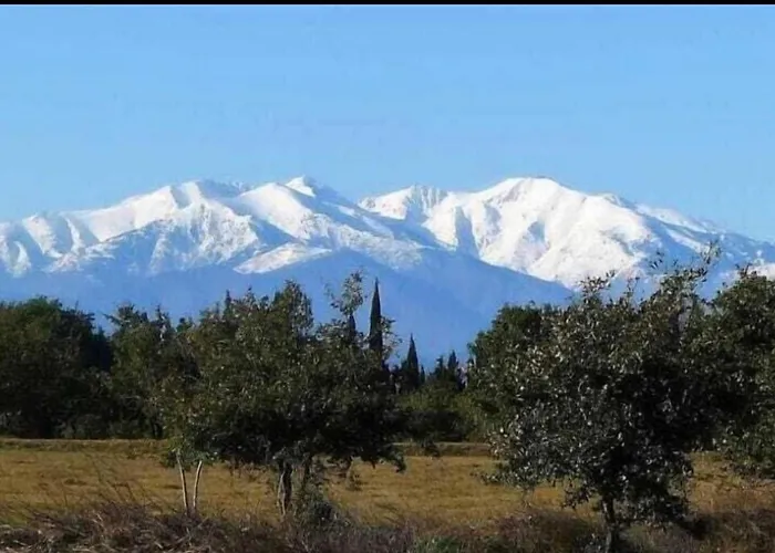 فيلة Domaine Manon Buzon