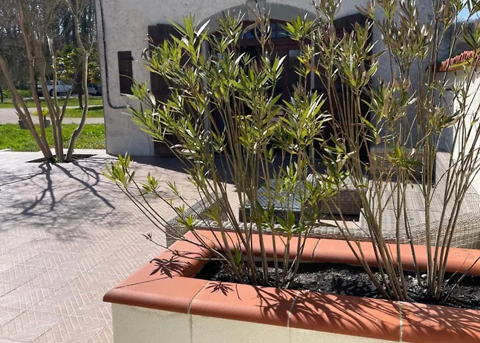 فيلة Domaine Manon